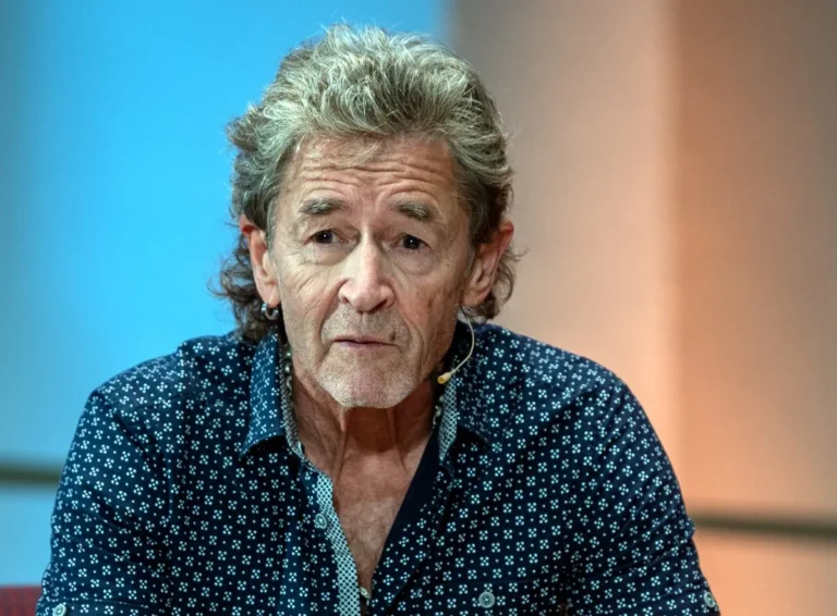 peter maffay vermögen